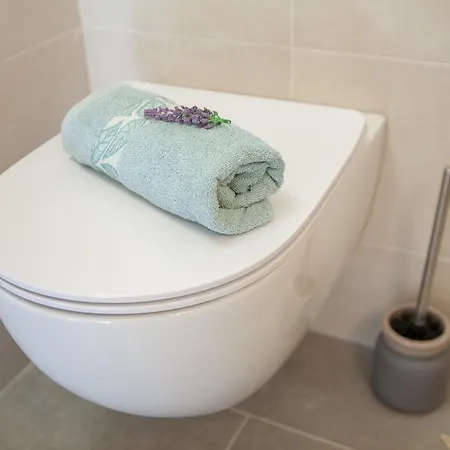 度假居 Stone House Darinka *