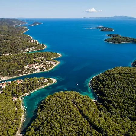 Stone House Darinka 度假居 *