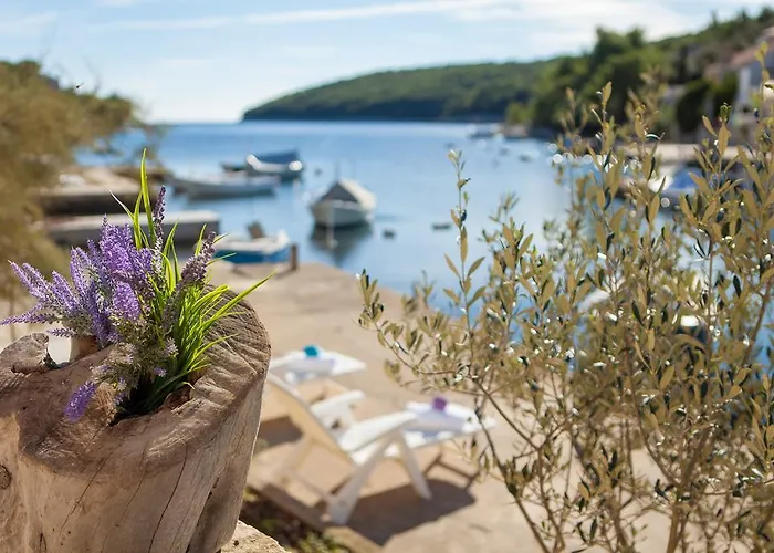 Stone House Darinka Vela Luka