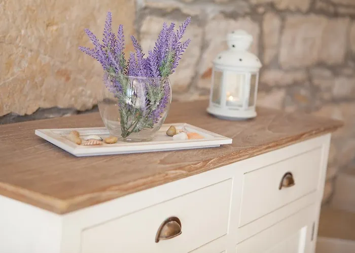 Stone House Darinka Vela Luka