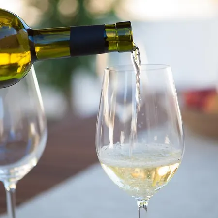 Stone House Darinka Vela Luka