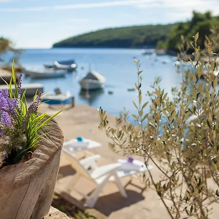 Stone House Darinka Vela Luka