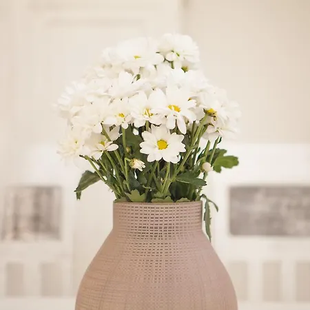 Casa vacanze Stone House Darinka *